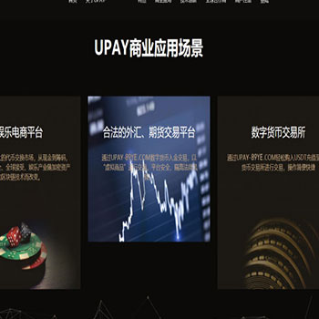 最新upay数字火币支付,USDT支付/数字货币承兑系统/支持ERC20 OMNI/代理商/第三方支付接口